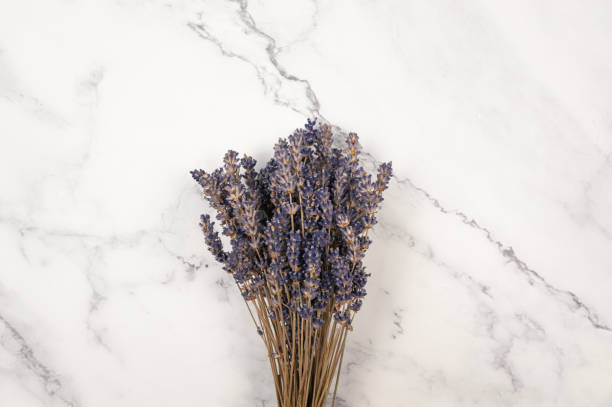 istock Top view of lavender flowers on white marble background. 2005321580