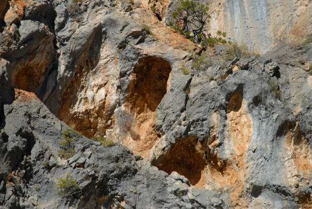 istock Neolithic rock art, Alicante Province, Spain 2005337187