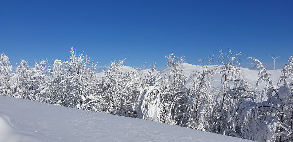 Nature photography during hiking and climbing activities