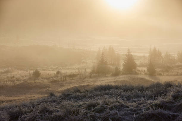 istock Misty highlands, Scotland during winter 2005358695