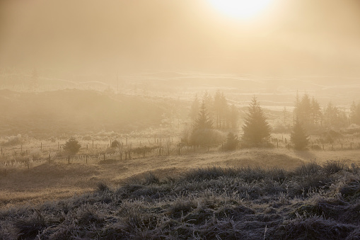 Misty highlands, Scotland during winter