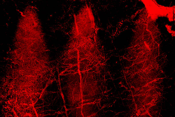 istock Black and red rock stone background. Dark red horror scary background. Old wall texture cement black red background. 2005359454