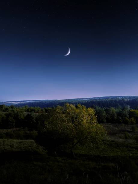 istock Crescent moon in the sky above green hills with trees. 2005384508
