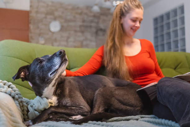 One young woman sitting on the sofa reading with her dog by her side