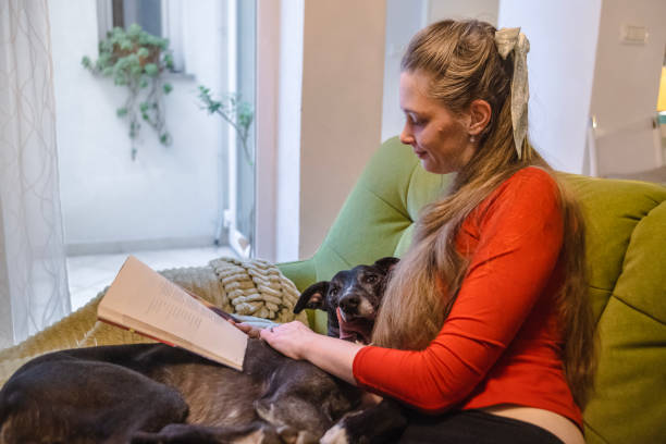 istock Oh my, this book is so boring, rather pet me 2005401143