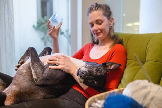 istock Hugs and pets all day for us 2005407068