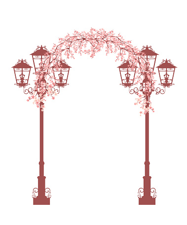 antique style city street lights and floral arch - lampposts and sakura blossom branches forming decorative blooming flower passage vector design