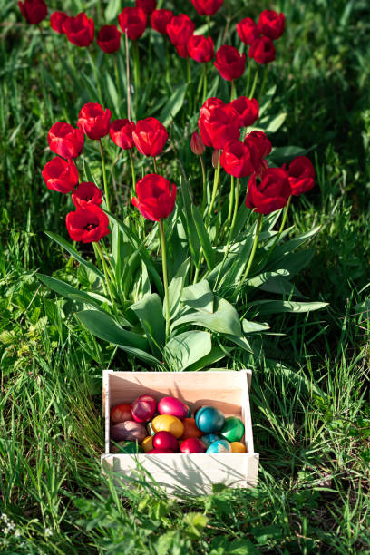 Wooden crate full of colorful Easter eggs laying in the grass