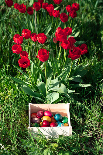 Wooden crate full of colorful Easter eggs laying in the grass