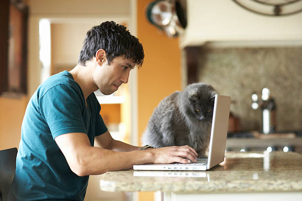 chat assis à côté d'un homme à l'aide d'un ordinateur portable dans la cuisine domestique - blue cat photos et images de collection