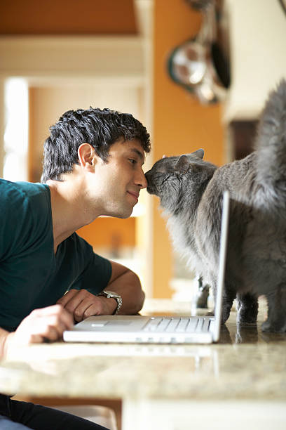 Young man with laptop and cat nose to nose, side view  pet owner stock pictures, royalty-free photos & images