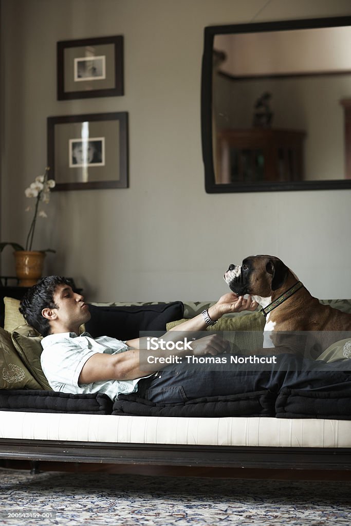 若い男性と犬に横たわるソファー、男性のふれあい犬、サイドの眺め - ソファのロイヤリティフリーストックフォト