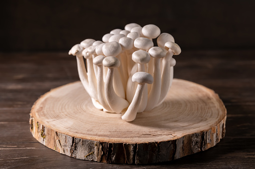 Closeup of a bunch of shimeji mushrooms on a tree cut, on wooden, dark background, superfood, a type of delicious oyster mushroom, healthy food