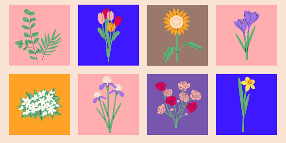 Flower bouquet.Spring and summer flowers, plants for decoration, blooming herbs isolated on colorful background.Hand drawn set.Vector illustration EPS 10.