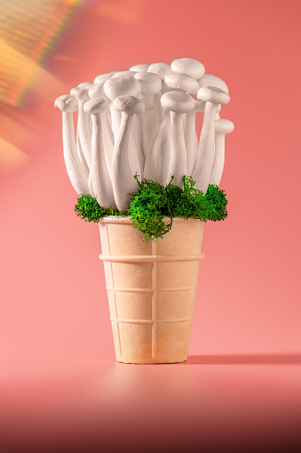Closeup of a bunch of shimeji mushrooms with green moss in an ice cream cone, on peach fuzz background, superfood, a type of delicious oyster mushroom, healthy food