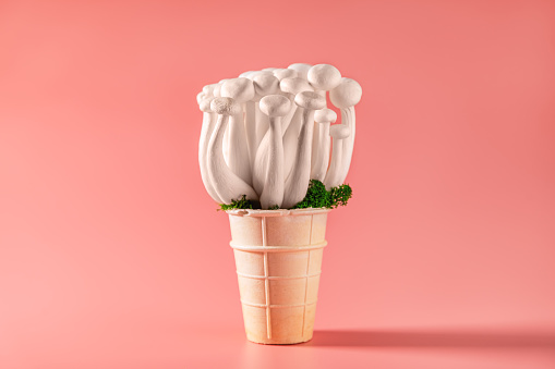 Closeup of a bunch of shimeji mushrooms with green moss in green ice cream cone, on pink background, superfood, a type of delicious oyster mushroom, healthy food