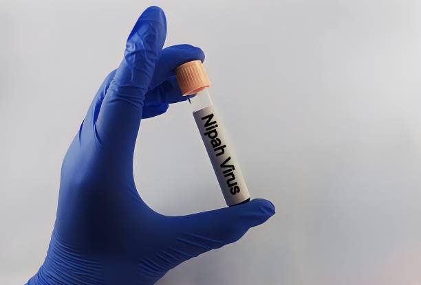 istock Blood samples tube with sample for Nipah virus test. 2005468809