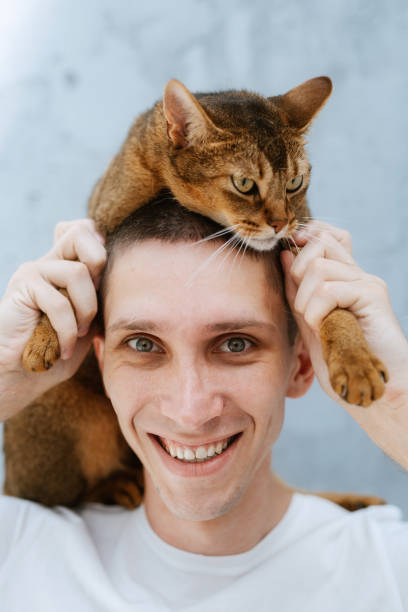 istock young guy in a bright room plays with a cat 2005491343
