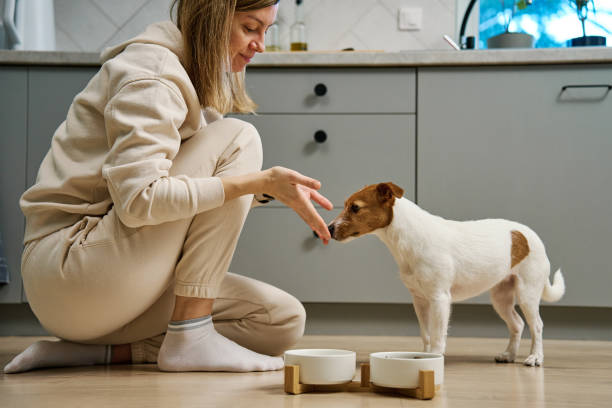 istock Woman spending time together with her dog at home 2005498295
