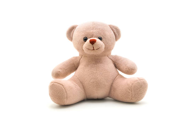 Plush Teddy Bear