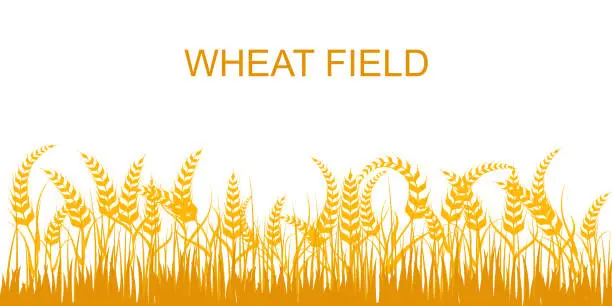Vector illustration of Wheat field vector set