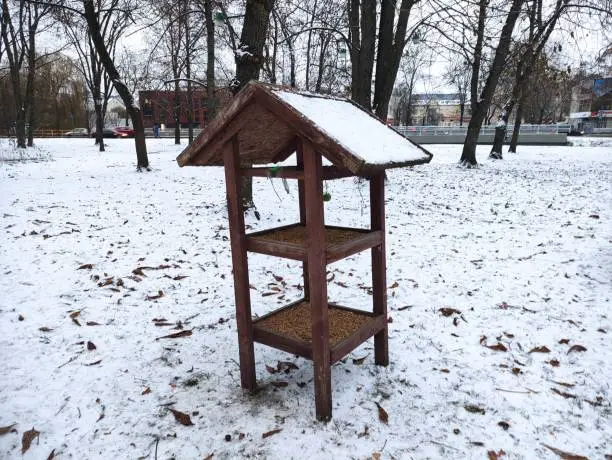 Photo of Bird feeder in the winter park in the evening