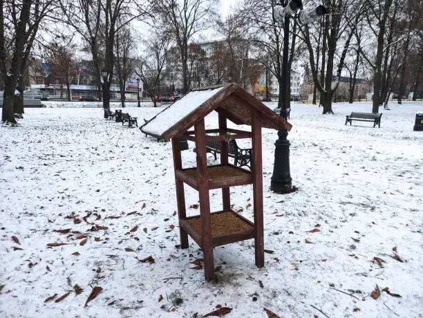 Photo of Bird feeder in the winter park in the evening