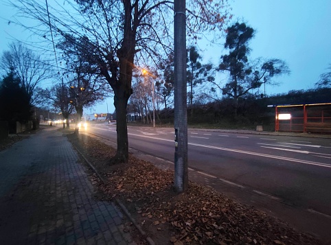 Road and bus stop in evening
