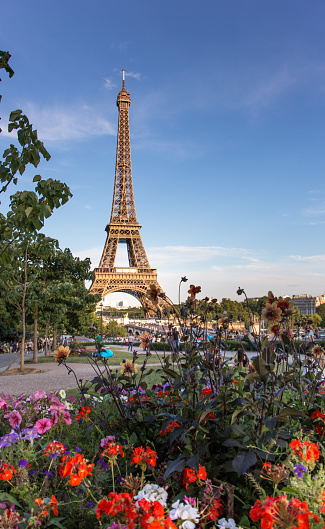 Eiffel Tower behind beautiful flowers with blue sky