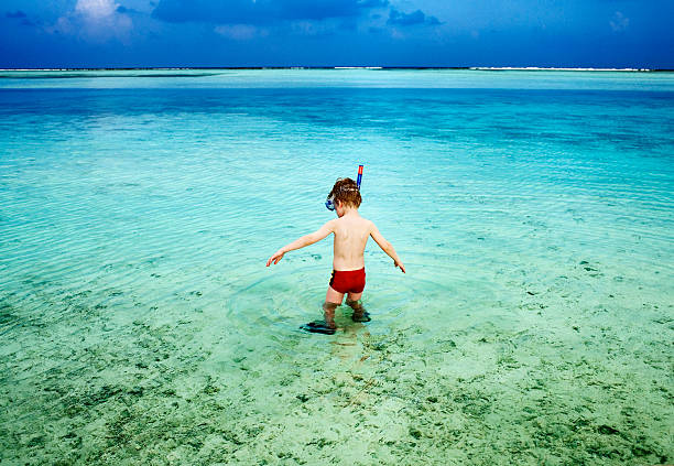 boy (4-5) wearing snorkelling gear, wading into lagoon, rear view - wading child water sport clothing - fotografias e filmes do acervo