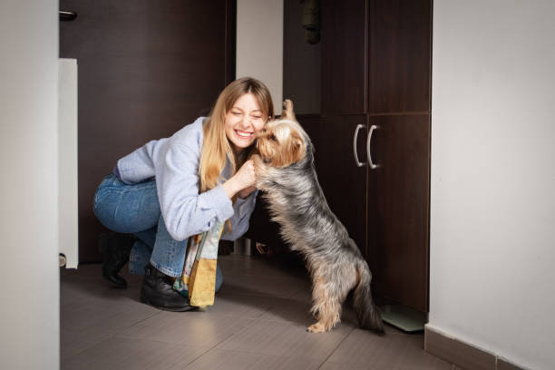 istock Greetings with my pet at the door 2005588557