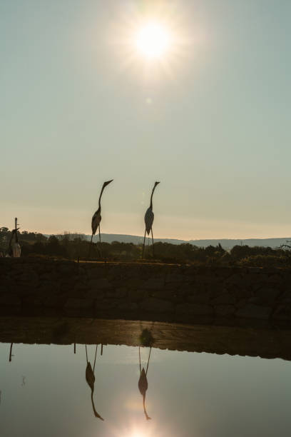 stork sculptures in the Bacalhoa Buddha Eden oriental landscape park in Portugal