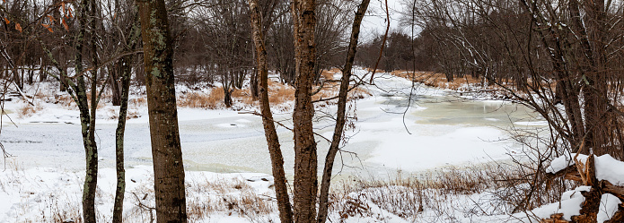 Rib River flowing through a Wisconsin snow covered forest in January, panorama