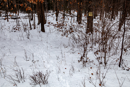 A metal directional sign points the way to the Blue Ridge Parkway.