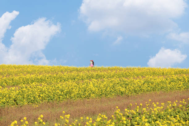Young couple hiking in nature on the Swabian Alb in Germany. They are not recognizable.