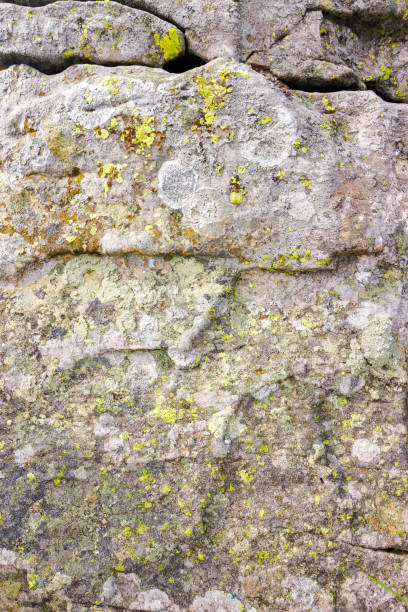 istock grungy texture of a grey stone 2005658691