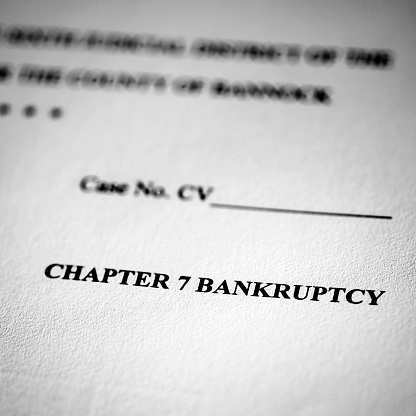 Legal Pleadings Court Papers Law Chapter 7 Bankruptcy