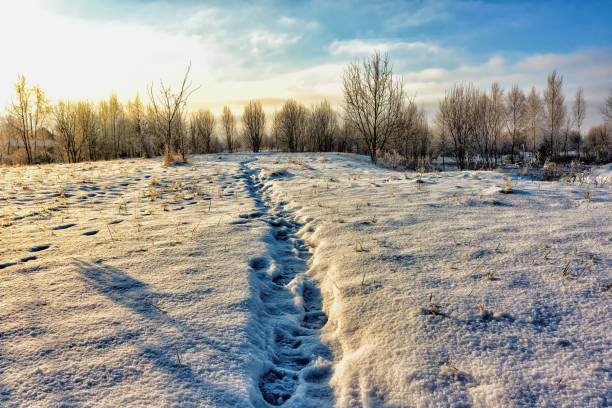 In winter, on a sunny day, there is a winding trail with traces to the park