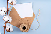 Cotton branch and blank postcard. Blank postcard on a blue background.