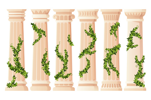 Ancient ivy covered column set. Museum and exhibition. Cartoon greek or roman pillars with climbing ivy branches. Antique foliage decorated element. Cartoon flat vector isolated on white