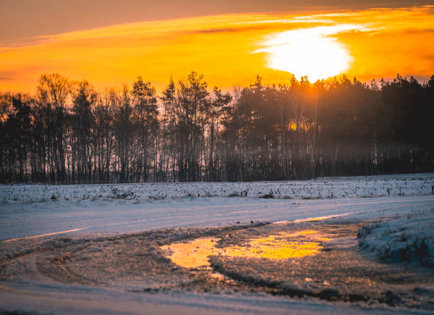 Sunrise