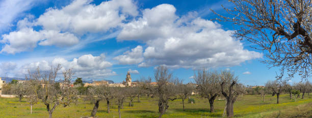 A panoramic view capturing the idyllic essence of Consell, with its traditional buildings set against a dramatic sky