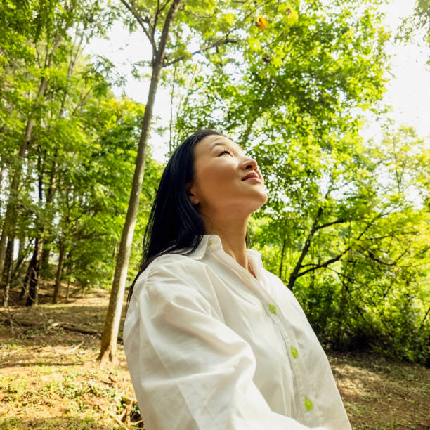 istock Japanese woman in a tree area. 2005765454