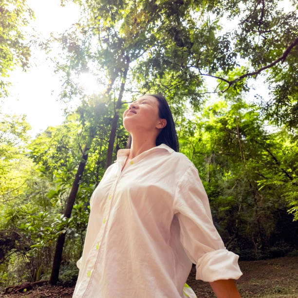 istock Japanese woman in a tree area. 2005765609