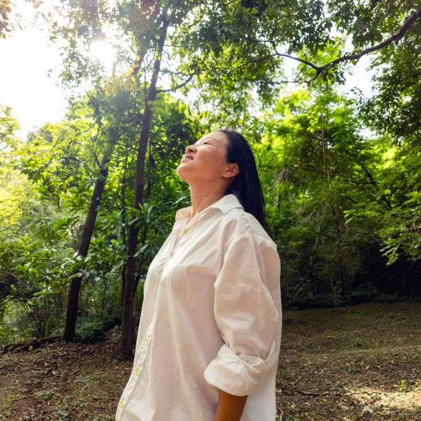 istock Japanese woman in a tree area. 2005767539