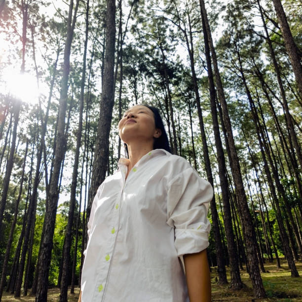 istock Japanese woman in a tree area. 2005769646
