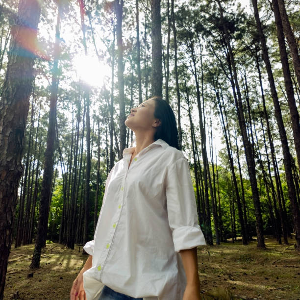 istock Japanese woman in a tree area. 2005769655