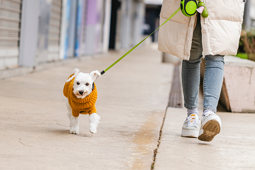 Young woman is walking her small dog in the city, a closeup.