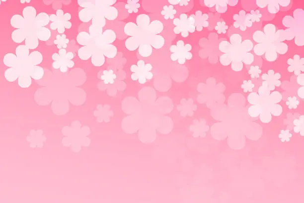 Vector illustration of Pink background with white flowers. Vector flat illustration. Spring is coming. Sakura