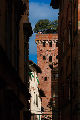 Lucca, Italy - March 25, 2023: The famous and iconic medieval Guinigi Tower with oak trees and tourists at the top, seen from a narrow lane in the historical center f Lucca